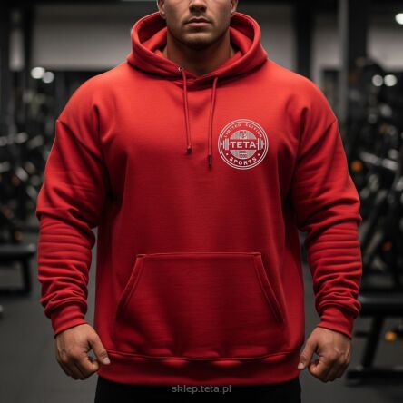 Bluza męska TETA HeavyFlex™ 